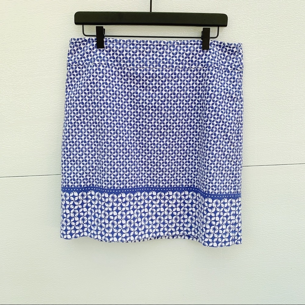Talbots Skirt